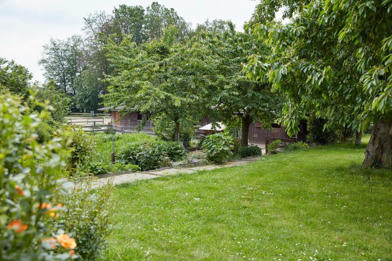Appartement Reiterhof Zwei Linden à Melle Extérieur photo